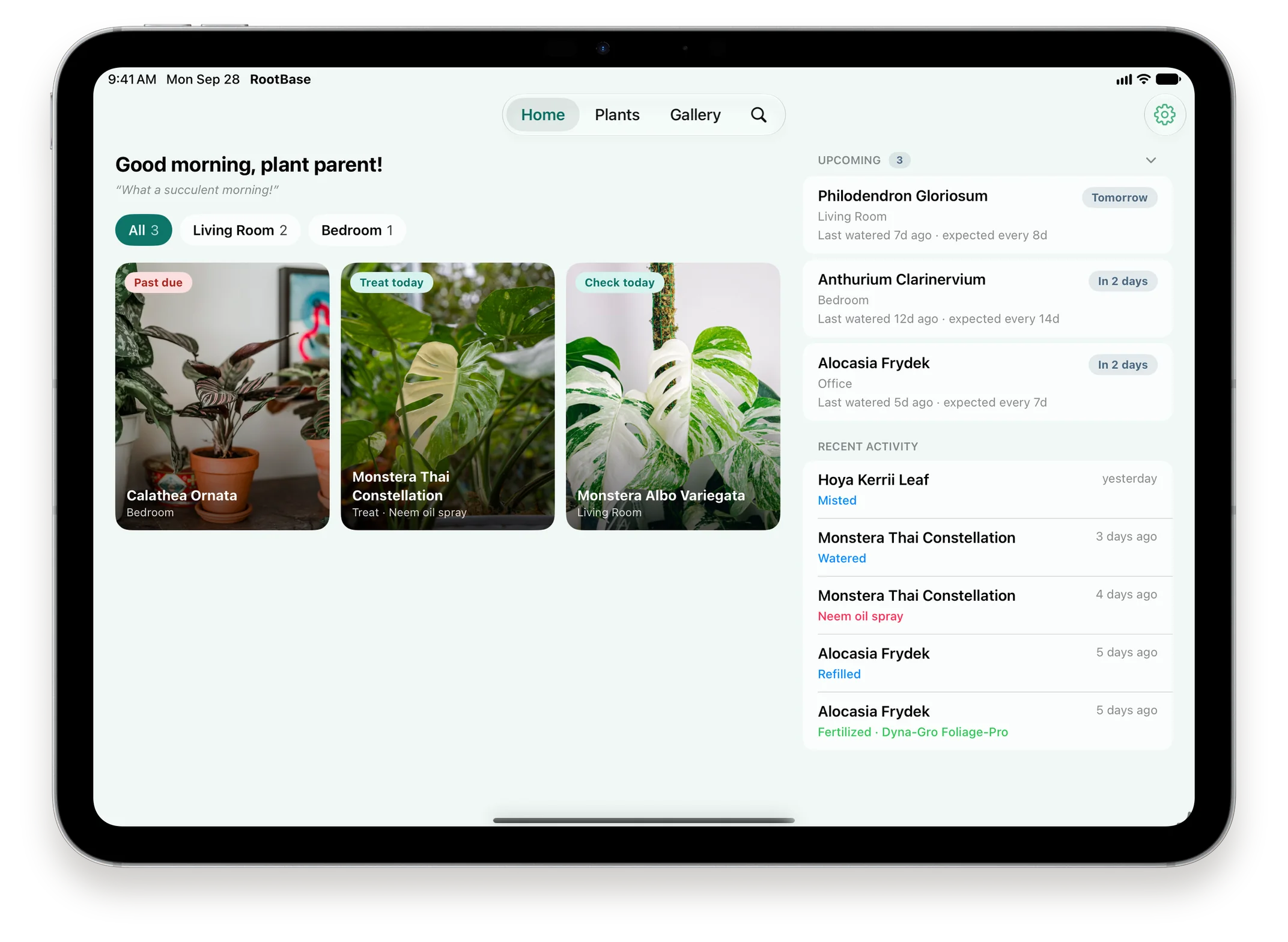 RootBase Home on iPad: a grid of plants due today filtered by room, beside Upcoming and Recent Activity.
