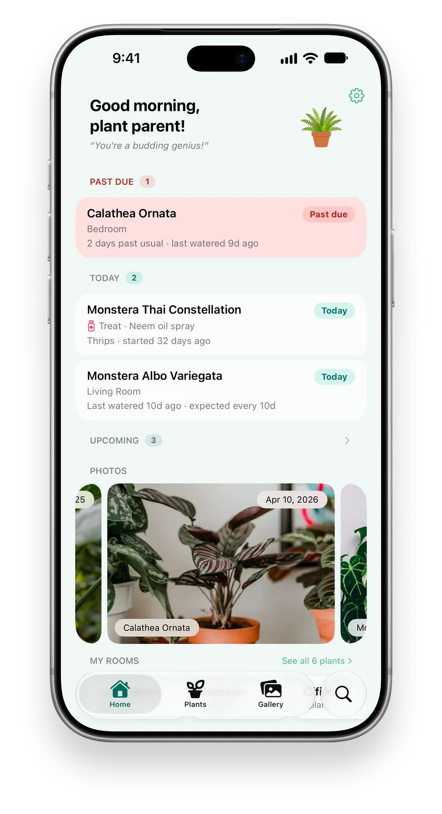 RootBase Home screen on iPhone listing a past-due Calathea and two plants due today, with photos below.